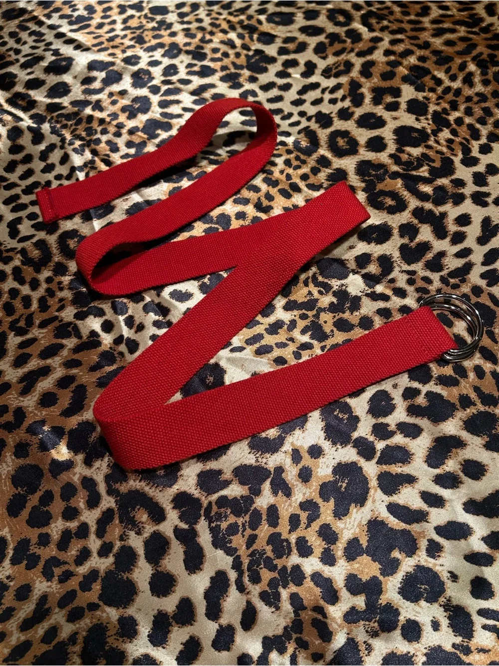Shein Red Canvas Web Belt with Silver Double D Ring